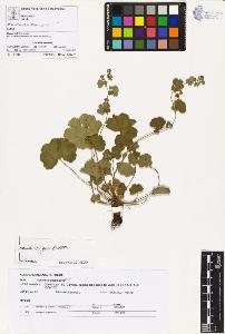 SW_BNB_s3070-02008_IMG-0000000001