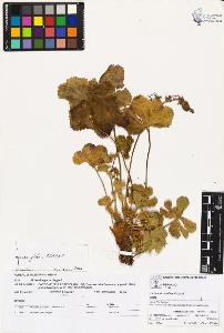 SW_BNB_s3070-02012_IMG-0000000001
