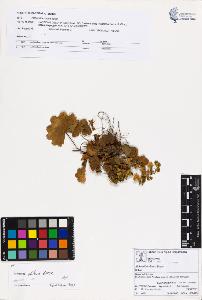 SW_BNB_s3070-02013_IMG-0000000001