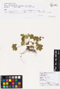 SW_BNB_s3070-02020_IMG-0000000001