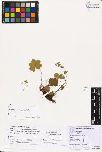 SW_BNB_s3070-02021_IMG-0000000001