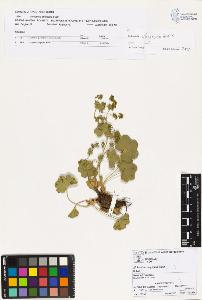 SW_BNB_s3070-02022_IMG-0000000001