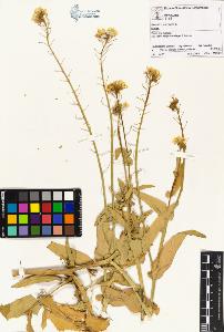 SW_BNB_s3070-02024_IMG-0000000001