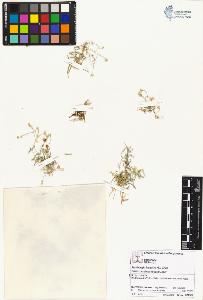 SW_BNB_s3070-02025_IMG-0000000001