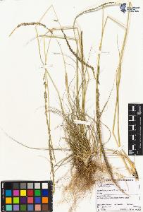 SW_BNB_s3070-02028_IMG-0000000001
