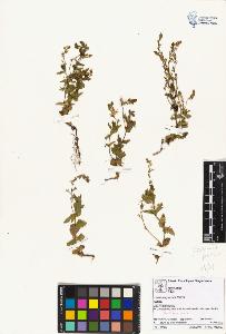 SW_BNB_s3070-02030_IMG-0000000001