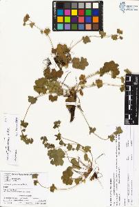 SW_BNB_s3070-02035_IMG-0000000001