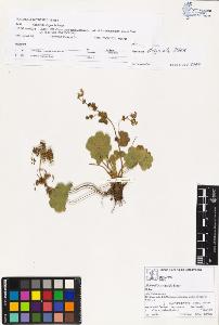 SW_BNB_s3070-02037_IMG-0000000001