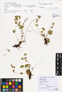 SW_BNB_s3070-02038_IMG-0000000001
