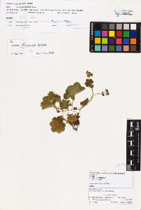 SW_BNB_s3070-02040_IMG-0000000001