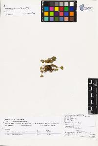 SW_BNB_s3070-02041_IMG-0000000001