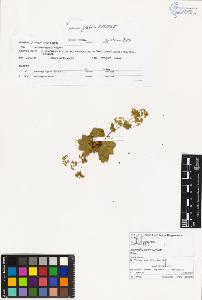 SW_BNB_s3070-02042_IMG-0000000001