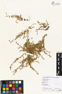 SW_BNB_s3070-02044_IMG-0000000001