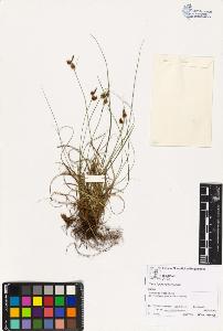 SW_BNB_s3070-02045_IMG-0000000001
