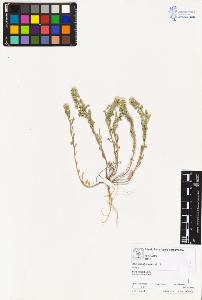 SW_BNB_s3070-02046_IMG-0000000001
