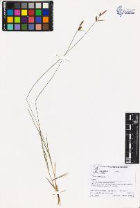 SW_BNB_s3070-02049_IMG-0000000001
