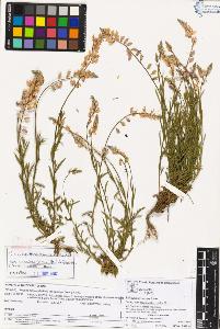 SW_BNB_s3070-02053_IMG-0000000001