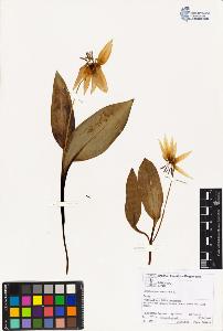 SW_BNB_s3070-02055_IMG-0000000001