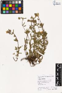 SW_BNB_s3070-02056_IMG-0000000001