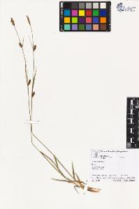 SW_BNB_s3070-02058_IMG-0000000001