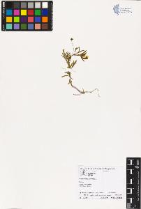 SW_BNB_s3070-02059_IMG-0000000001