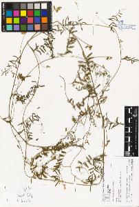 SW_BNB_s3070-02061_IMG-0000000001