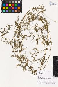 SW_BNB_s3070-02062_IMG-0000000001