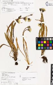 SW_BNB_s3070-02063_IMG-0000000001
