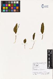 SW_BNB_s3070-02064_IMG-0000000001