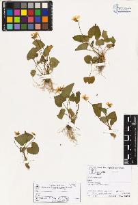 SW_BNB_s3070-02065_IMG-0000000001