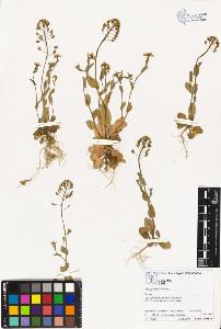 SW_BNB_s3070-02067_IMG-0000000001