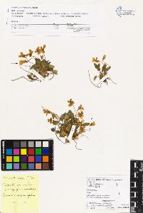 SW_BNB_s3070-02071_IMG-0000000001