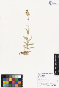 SW_BNB_s3070-02080_IMG-0000000001