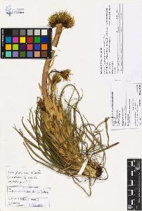 SW_BNB_s3070-02081_IMG-0000000001