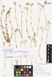 SW_BNB_s3070-02089_IMG-0000000001