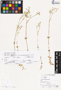 SW_BNB_s3070-02091_IMG-0000000001