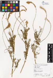 SW_BNB_s3070-02096_IMG-0000000001
