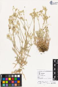 SW_BNB_s3070-02102_IMG-0000000001
