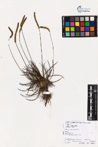 SW_BNB_s3070-02103_IMG-0000000001