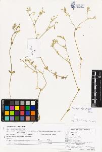 SW_BNB_s3070-02107_IMG-0000000001