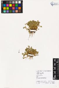 SW_BNB_s3070-02108_IMG-0000000001