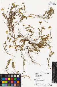 SW_BNB_s3070-02110_IMG-0000000001