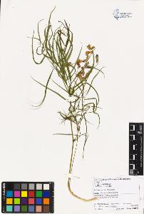 SW_BNB_s3070-02112_IMG-0000000001