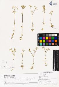 SW_BNB_s3070-02118_IMG-0000000001