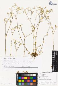 SW_BNB_s3070-02121_IMG-0000000001