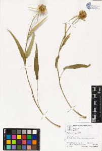 SW_BNB_s3070-02125_IMG-0000000001