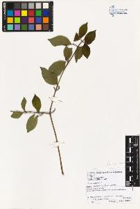 SW_BNB_s3070-02126_IMG-0000000001
