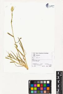 SW_BNB_s3070-02128_IMG-0000000001