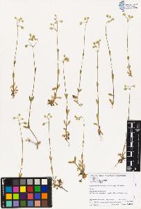 SW_BNB_s3070-02130_IMG-0000000001