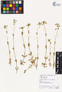 SW_BNB_s3070-02131_IMG-0000000001